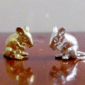 A009 ˹٤Թ ͧ ҹͧͧ Couple Rats 